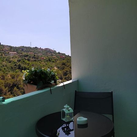 Ca' Isabella Apartamento Vallebona Exterior foto